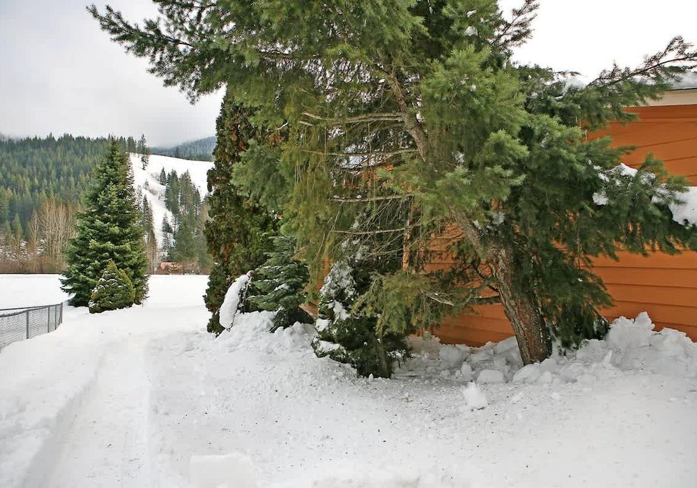 0ace863e 7b56 4f g61Sz homerunner