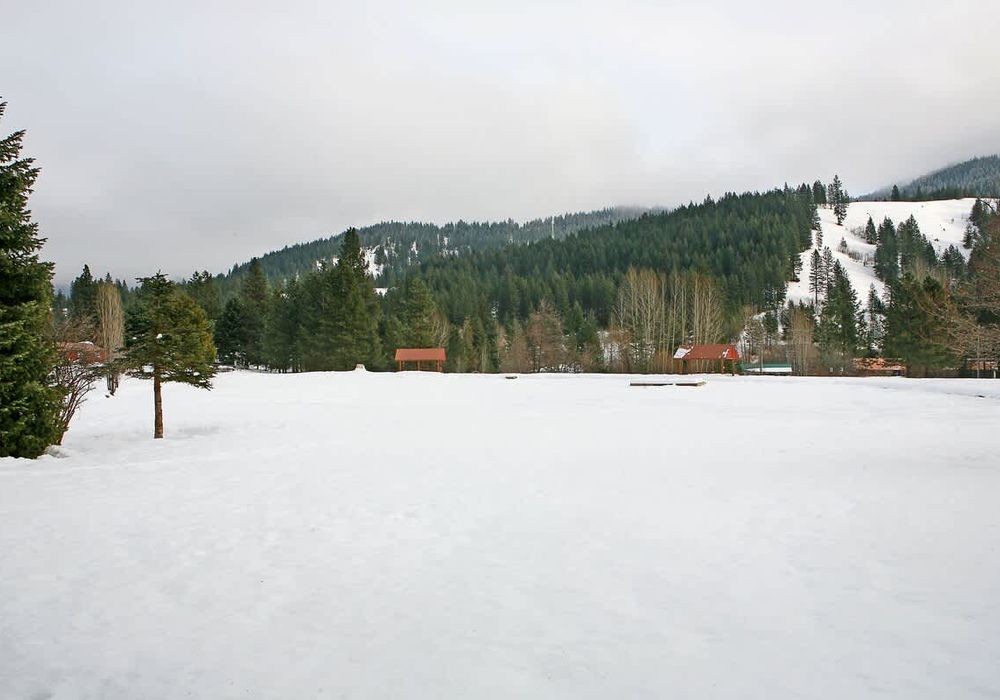 4501b0cd 2179 45 pyJYR homerunner