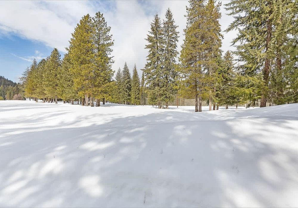 372765d8 dbe9 4d 0u87Y homerunner