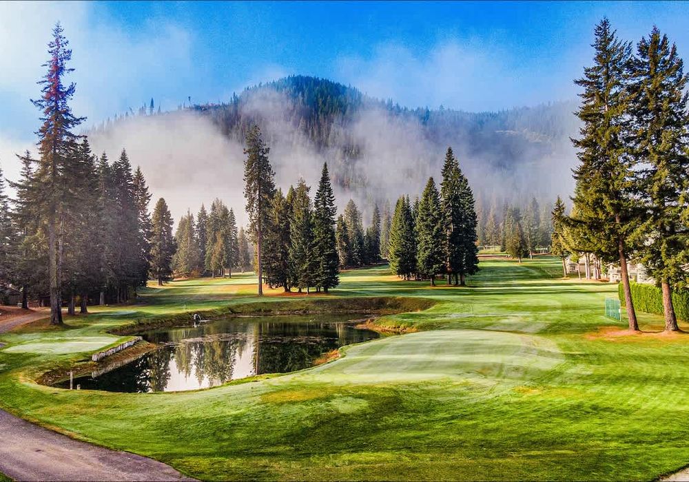 568b6f75 104e 47 QkXMo homerunner