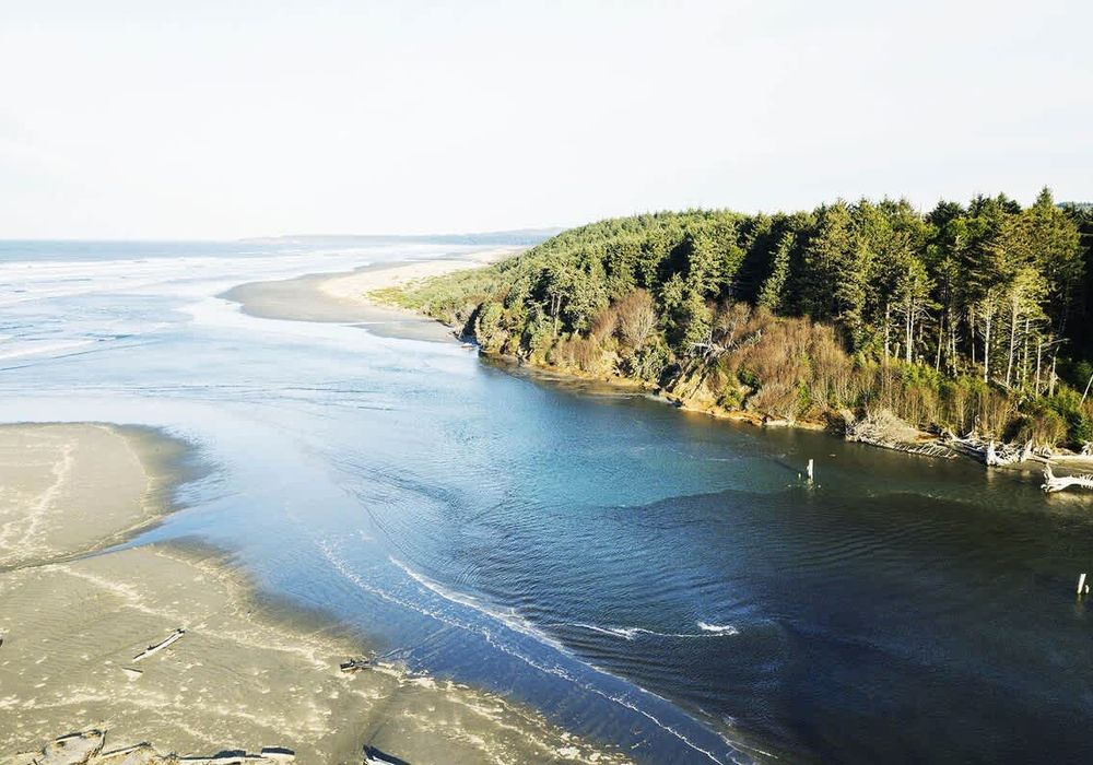 2323e6a8 e28b 40 RvbQW homerunner