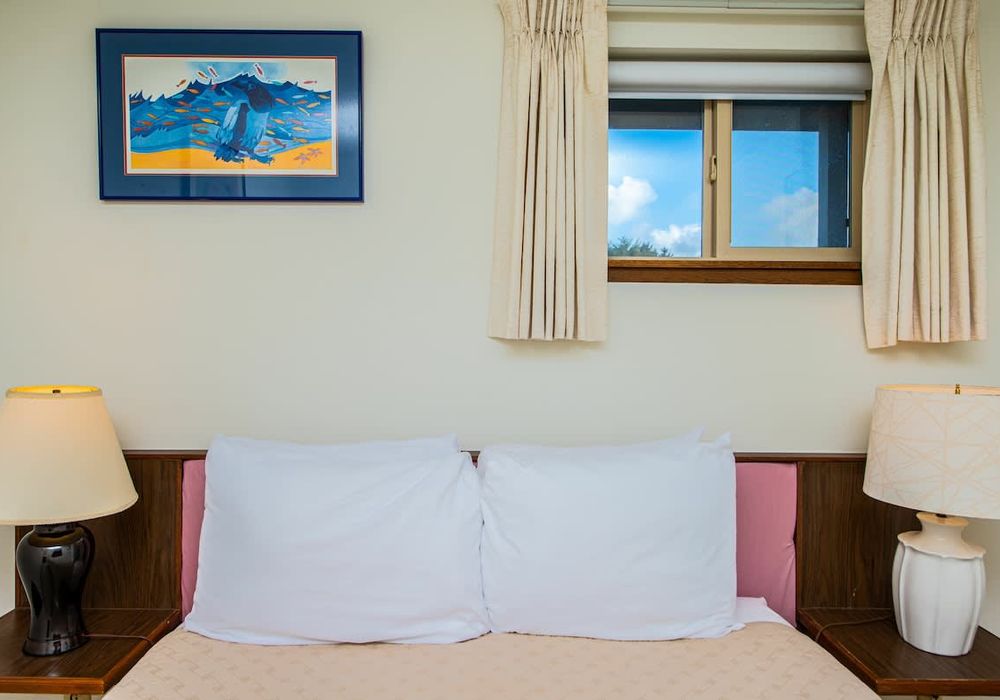 90b16aa3 c72e 47 9NZPy homerunner