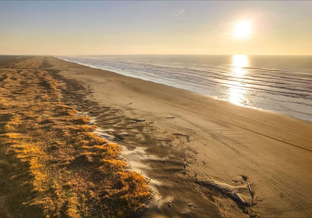 47f7fb10 3d5e 4b jSjoK homerunner