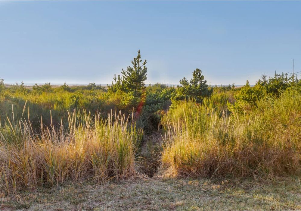 4b69c906 c47d 41 lFqUX homerunner