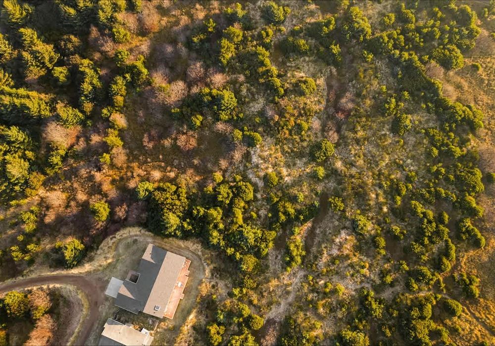 d843d229 6d53 45 c164D homerunner