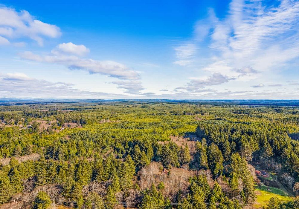 4cfaa9f6 98a7 4b zZvr homerunner