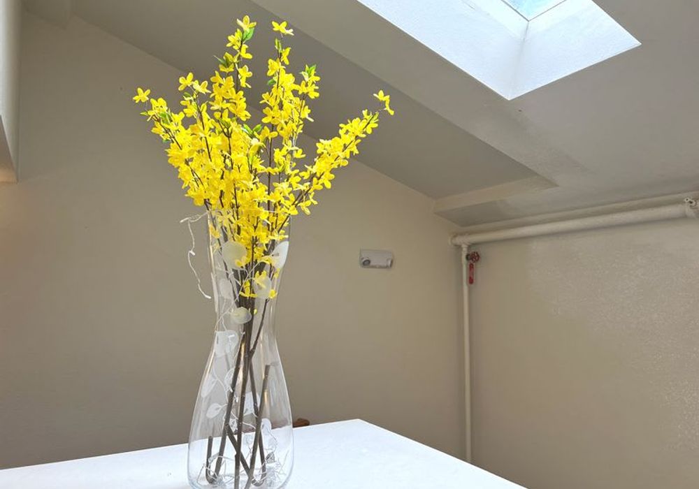 Shared living area