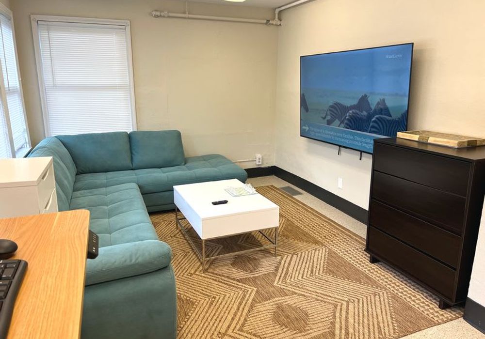 Shared living area