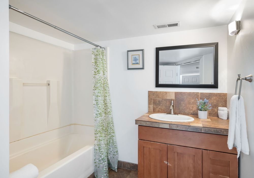 Lower Level Bathroom with modern finishes + full amenities.