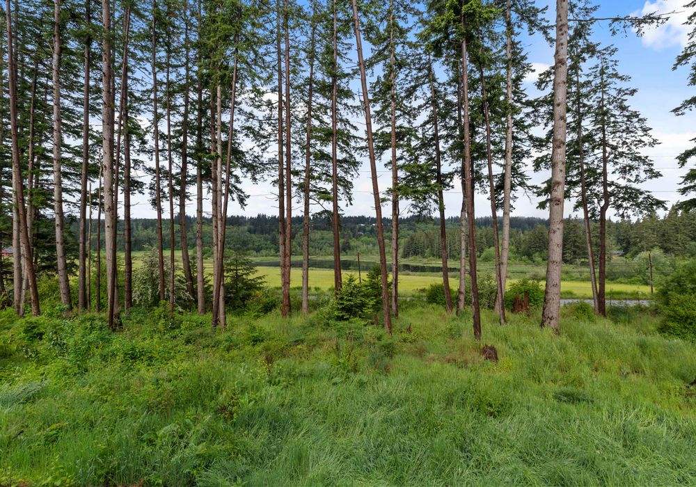 Calm outdoor views filled with greenery.