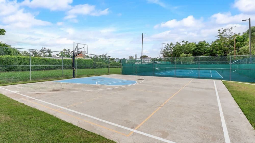 3bbf0477 f28b 44 ibXTp homerunner