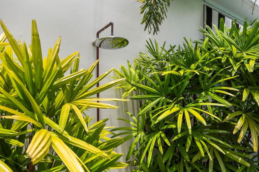 424d4e29 4bc3 48 77Mtl homerunner