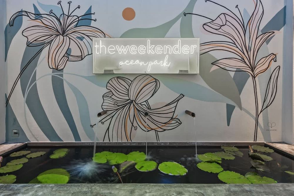 6a2cf66b e399 49 rpASp homerunner