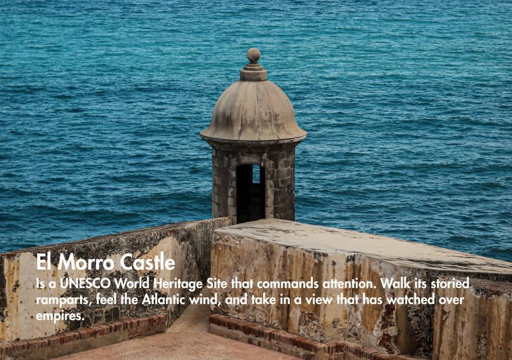 421faad6 ad6f 4f Kts0V homerunner