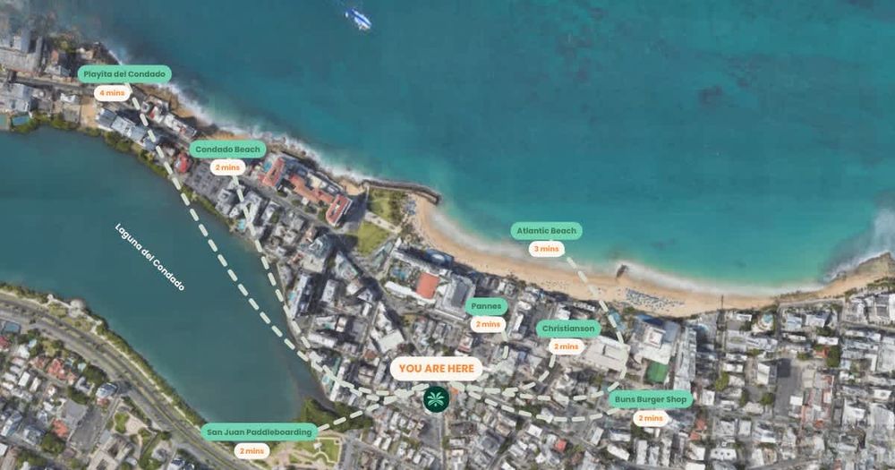 c34a94ce f2e2 4a Zyjas homerunner