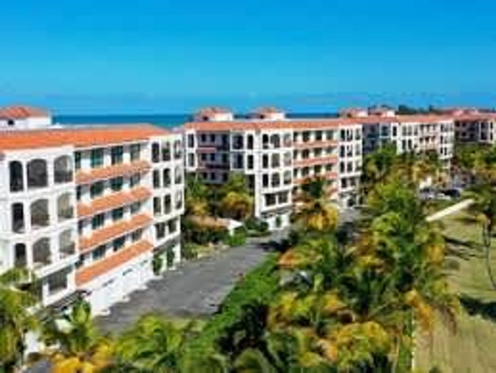 c09ddc67 7c01 49 EliT2 homerunner