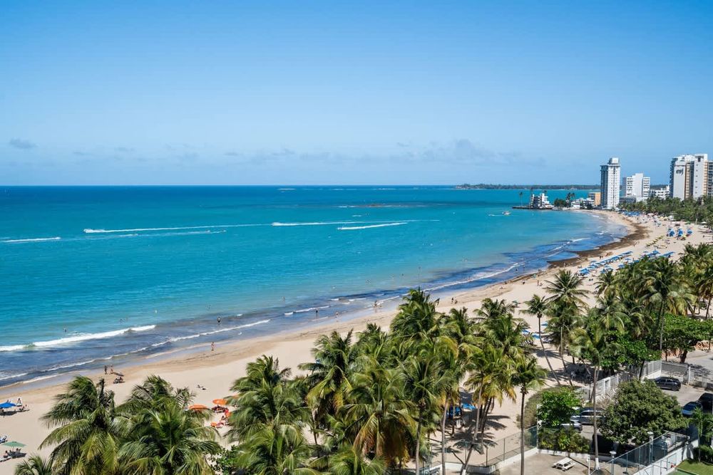 ecb3a289 4aa3 49 9bsak homerunner