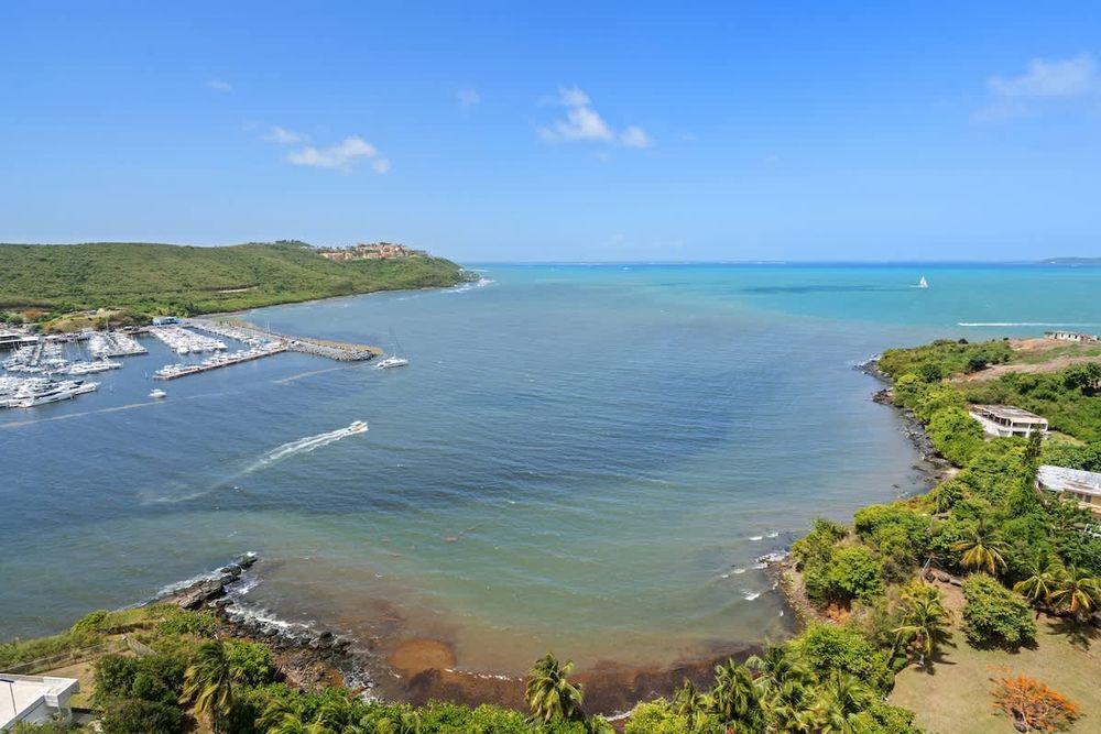 5cc60554 9ddf 41 FZ9 f homerunner