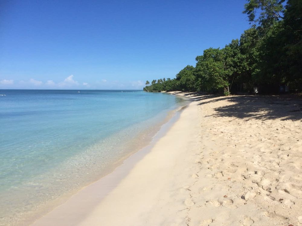 477ac78d 7567 46 CgFCX homerunner