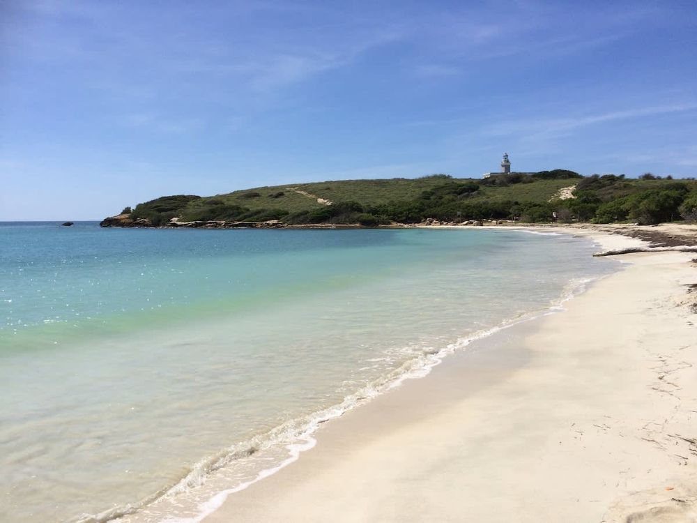 4ca2ebc9 2ec0 49 nTWxx homerunner