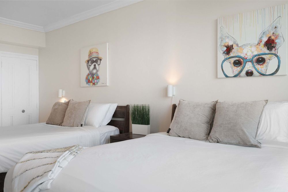 ndcomqadfk2mnfebuqqq