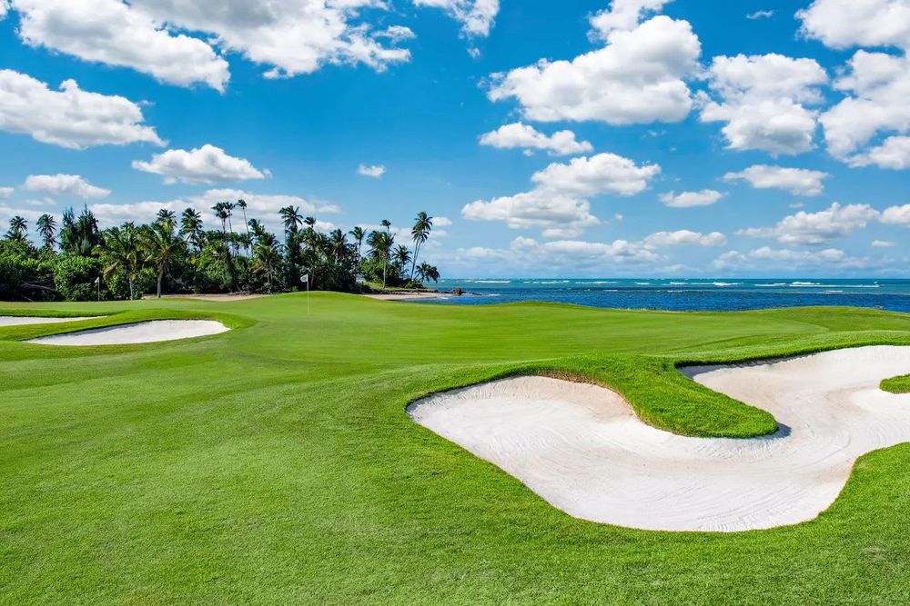 c2gmsr46mavn9hyh2bnl