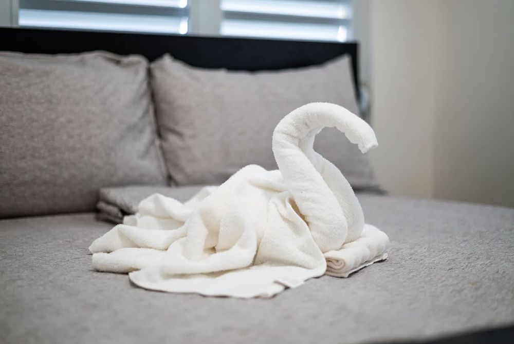 afwrwjumqqd3em01pr4z