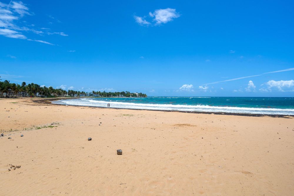 rekm8zvilemdjy51bwqy