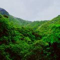 El Yunque National Forest scaled