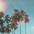 best season to visit puerto rico scaled