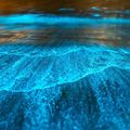 bioluminiscent bay puerto rico