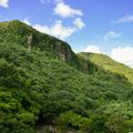 otiumrentals elyunque 1 scaled