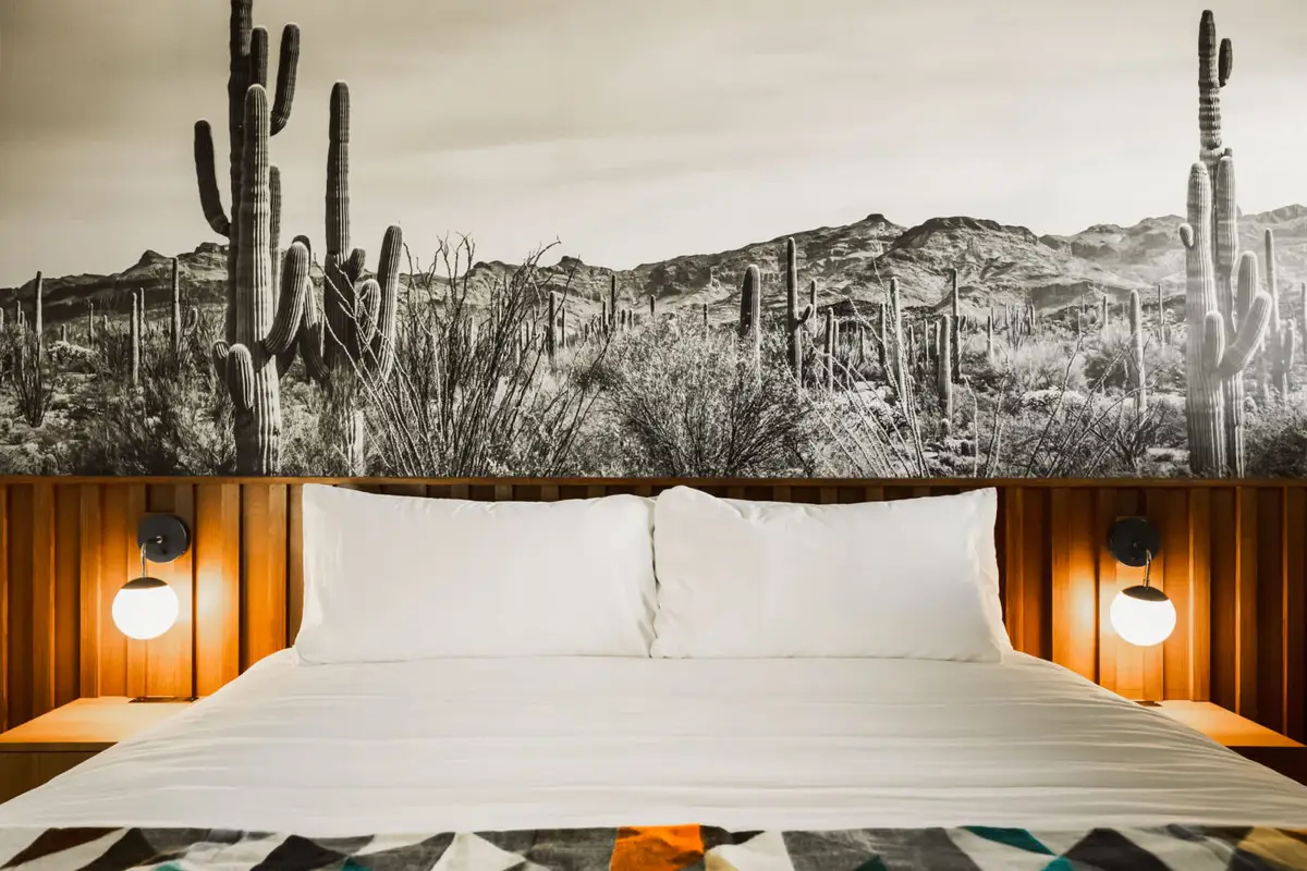 Midnight Cactus Room | La Vista Motel | 203