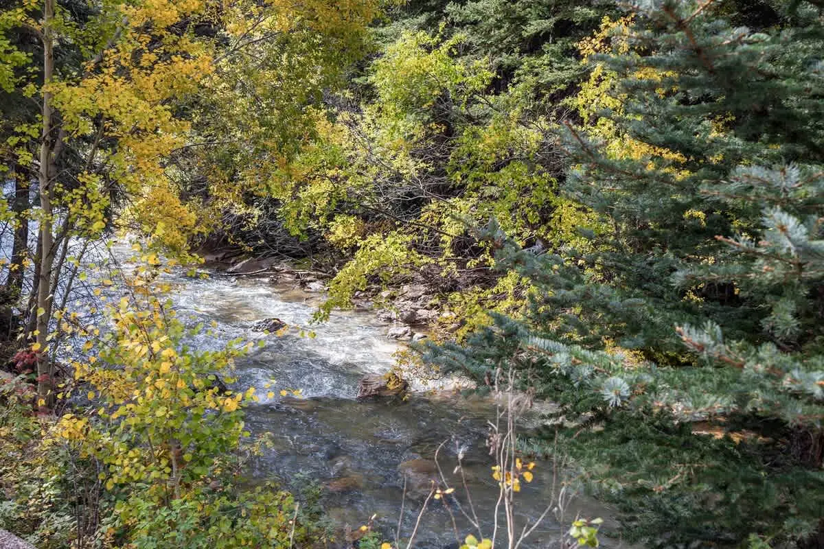 Creekside RV Site | Full Hookups | Sauna | Lostfork