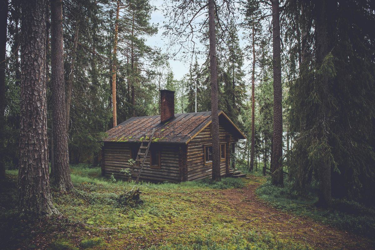 demo-misty-pines-cabin-5