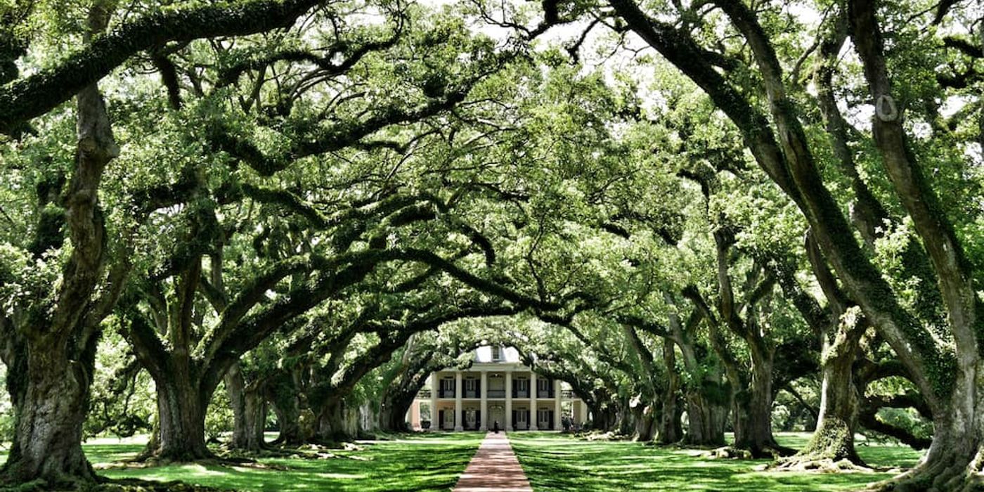 Why Summer is The Best Time to Visit New Orleans