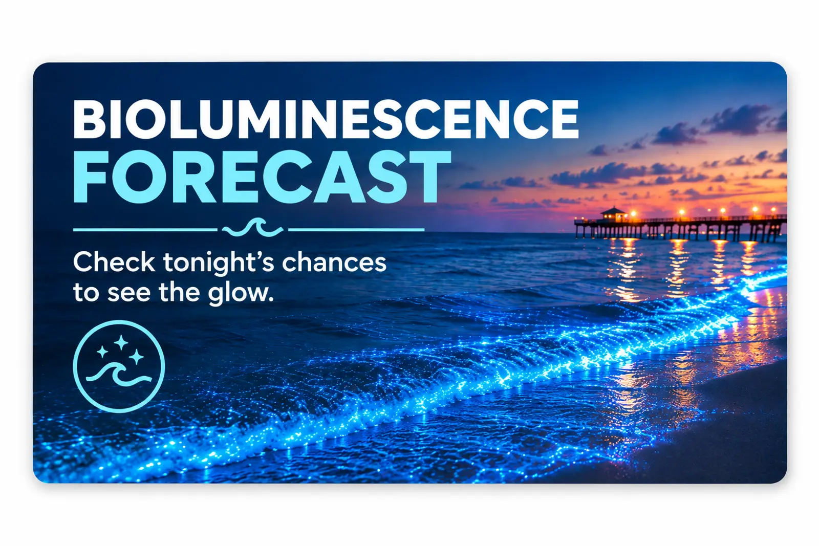 Bioluminesence in the water of the Space Coast