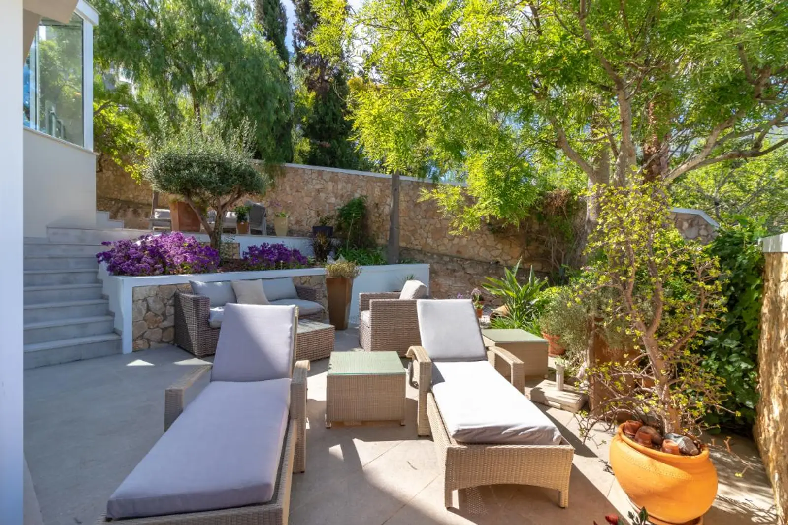 Garden terrace with lounge seating, olive tree and bougainvillea