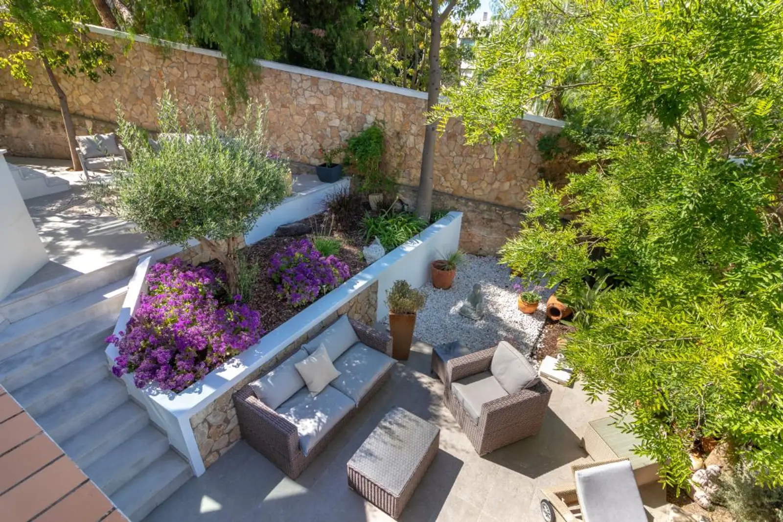 Garden terrace from above, with olive tree, bougainvillea and lounge seating
