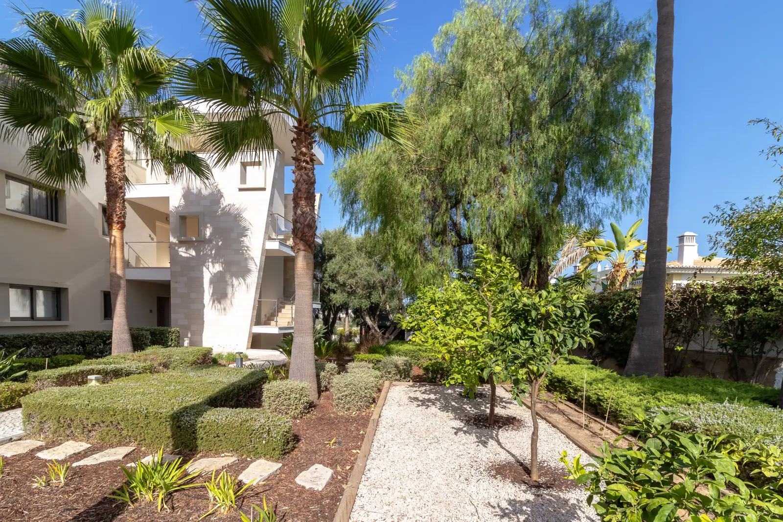 Gravel garden path between palms, citrus trees and lavender beds beside the building