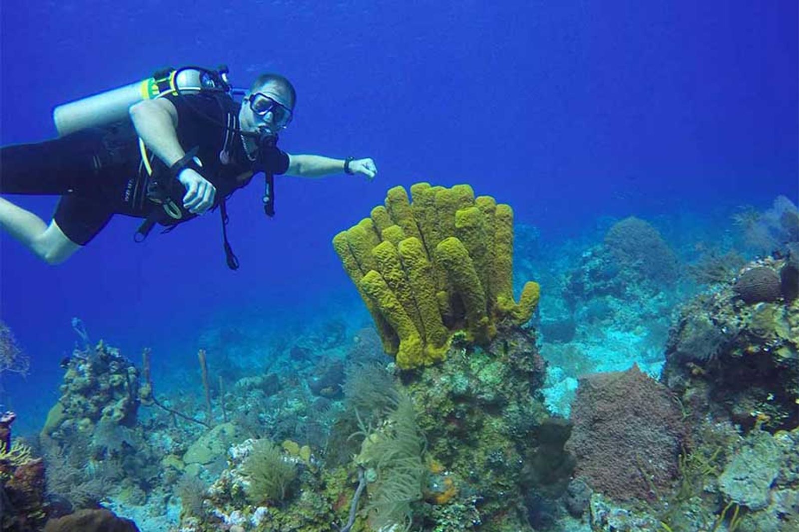 scuba diving in Turks and Caicos