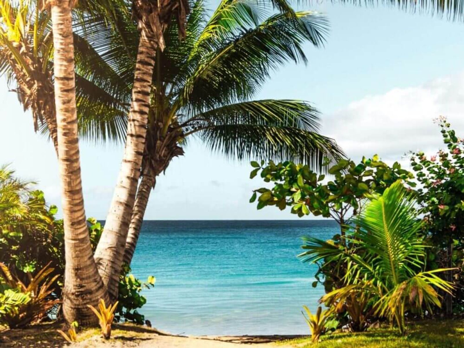 Bahamas vs Turks and Caicos: Our Choice Explained