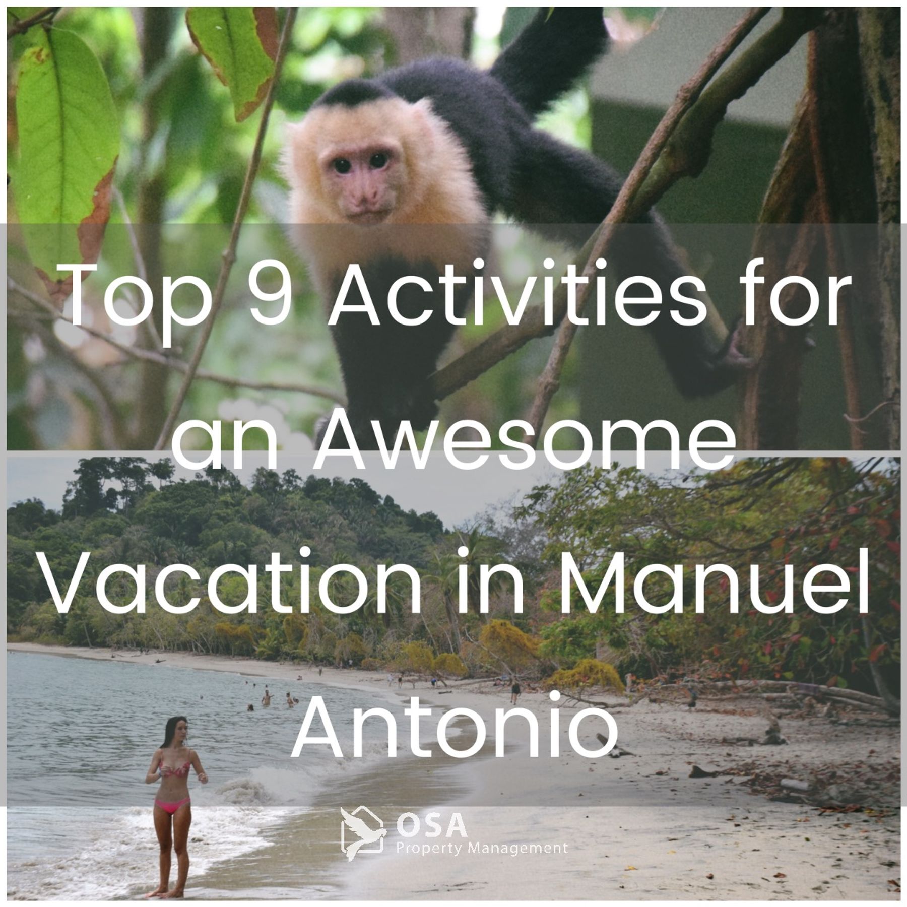Top 9 Activities for an Awesome Vacation in Manuel Antonio