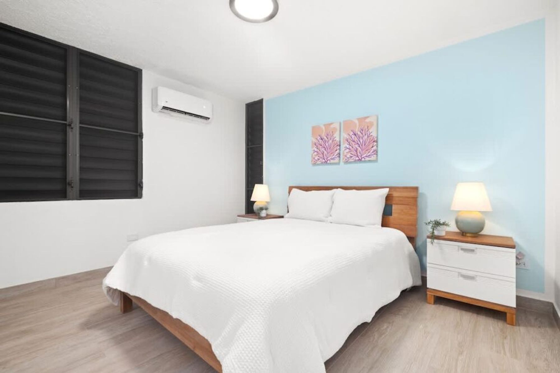 12Elena1B-n Main Image