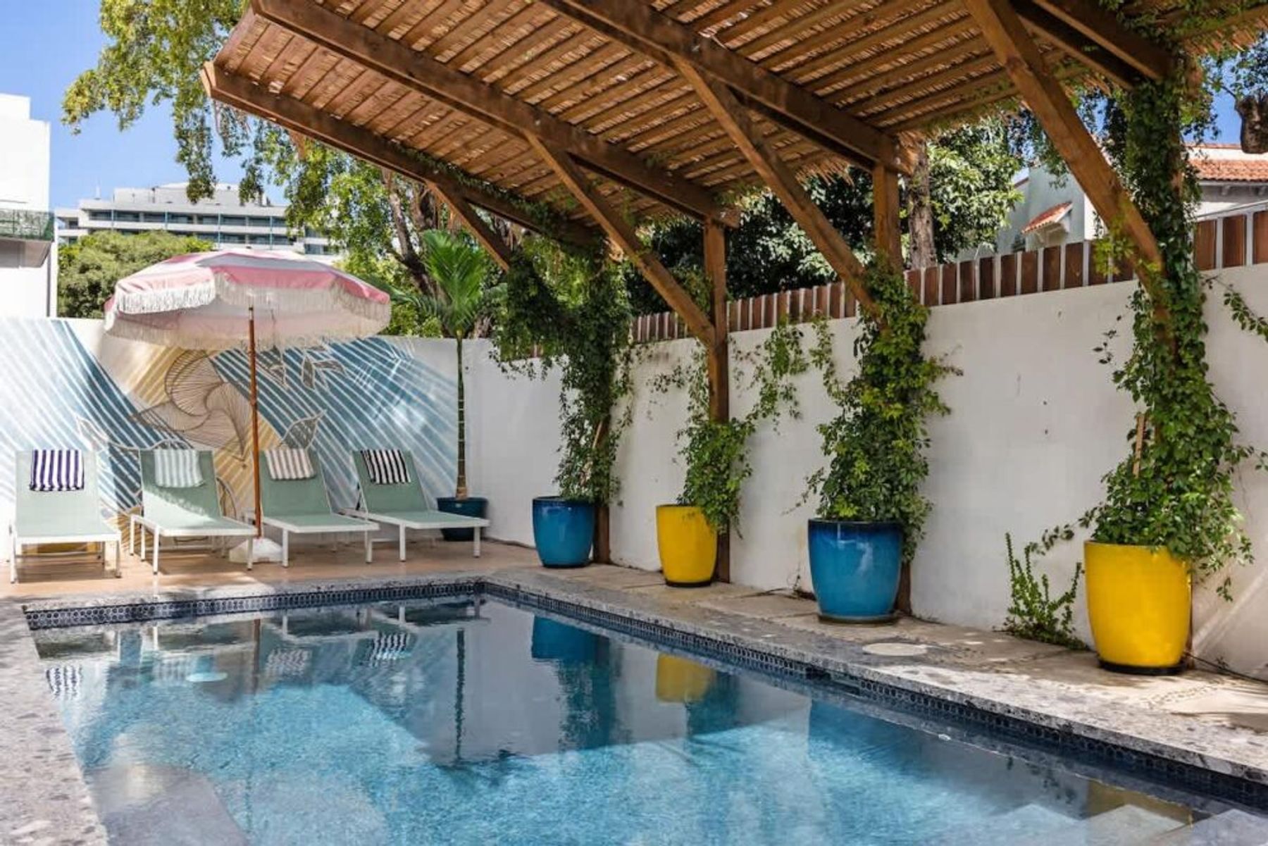 piccioni3 Main Image