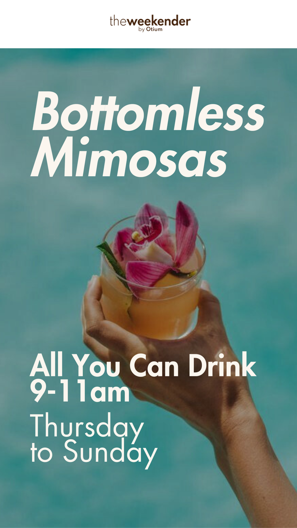 all you can drink mimosas san juan puerto rico