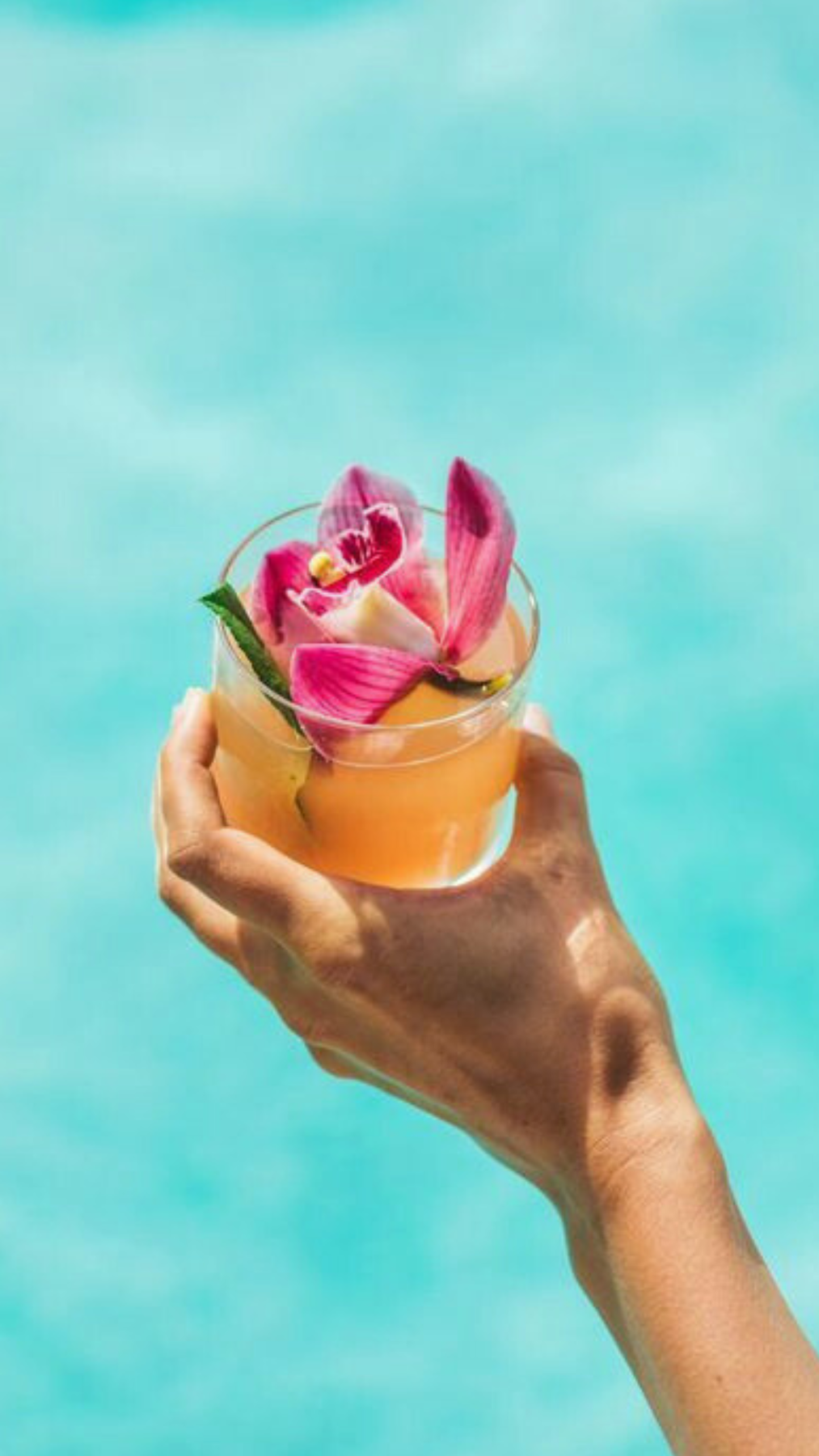 things to do in puerto rico all you can drink mimosas