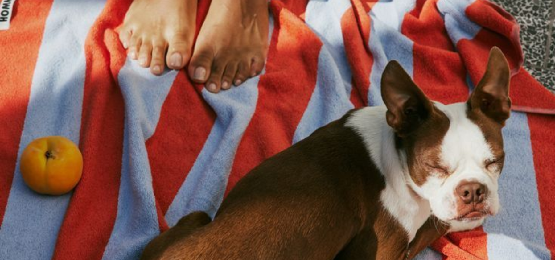 Olimpo by Otium best pet friendly hotel in san juan