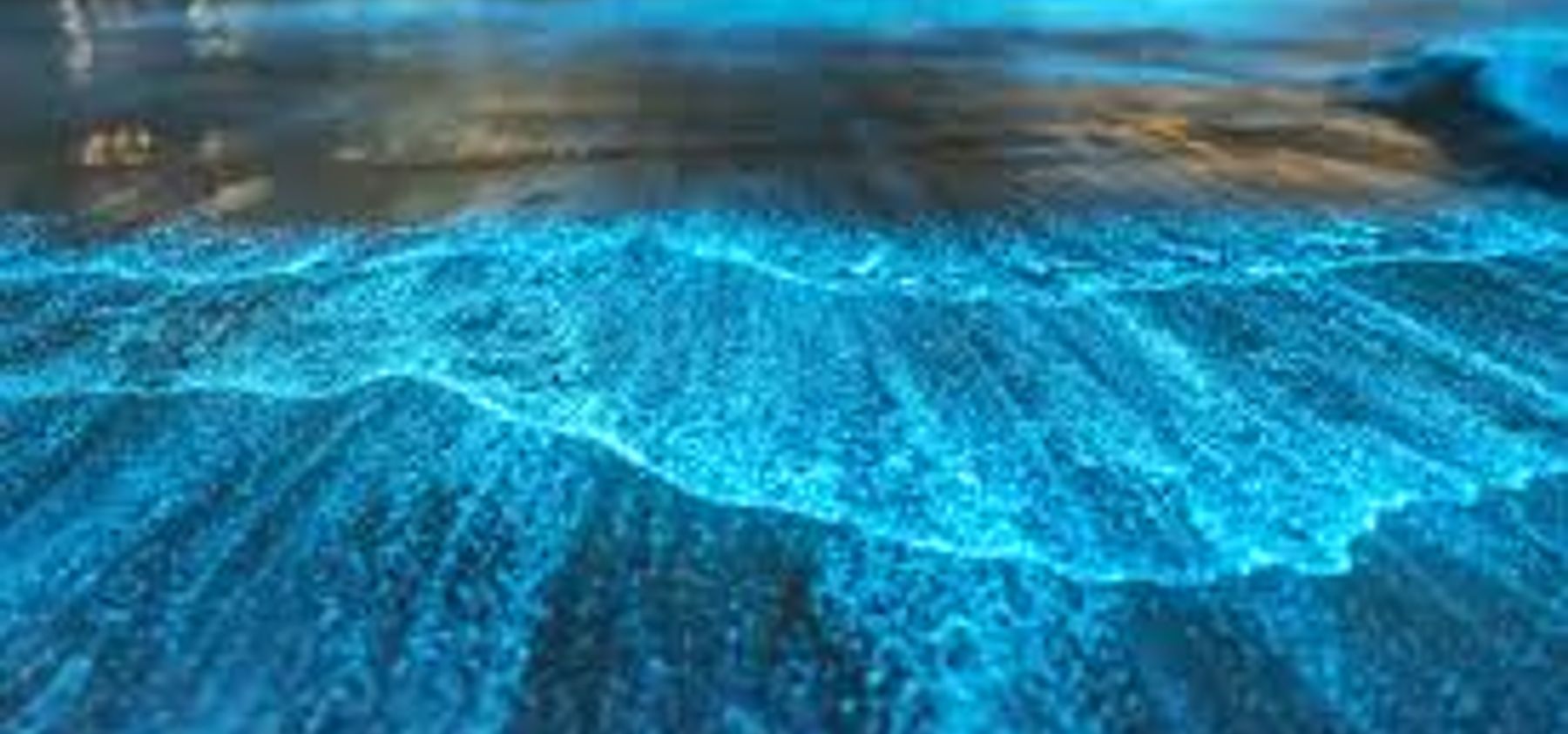Bioluminescent Bay: The Complete Guide 1 Bioluminescent Bay: The Complete Guide