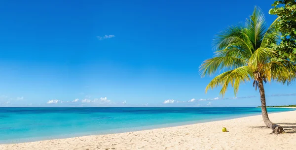 Beginner's Guide to Playa Flamenco, Puerto Rico 1 beginners guide to flamenco puerto rico